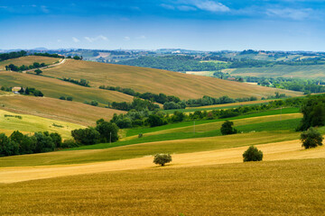 Rural landscape near Santa Maria Nuova and Osimo, Marche, Italy