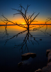 Fototapeta premium Sun just peaking over the horizon.