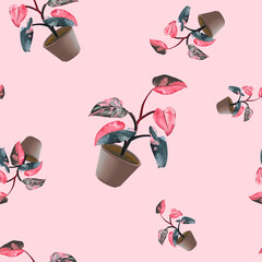 Patterns Pink Princess Philodendron © AEyZRiO