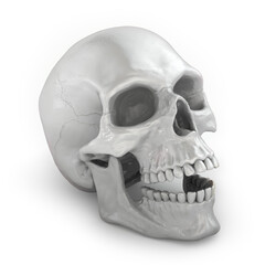 Silver skull.  3D render