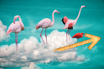 Giant pink flamingo birds on a cloud with directional arrow travelling to unknown destination