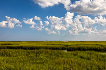 USA, Maryland, Assateague Island, marsh near lighthouse
