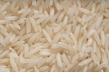 Detailed and large close up shot of basmati rice grain.