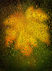 Acer Leaf Seen Through Rain-covered Window