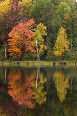 Fall colors along shoreline of Council Lake, Hiawatha National Forest, Upper Peninsula of Michigan.