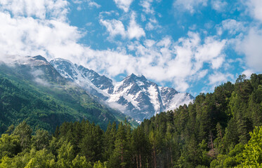 Obraz premium Snowy mountain peaks in sunny summer day with the blue sky and clouds in background, green grass in front. Beautiful landscape of Caucasus mountains.