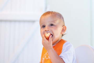 Little toddler boy eating sweet pearch outdoor in summer on white background. Tasty healthy vitamin snack for children.