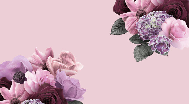Floral banner, header with copy space. Anemones, roses and hydrangea isolated on pink background. Natural flowers wallpaper or greeting card.