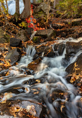 Red maple leaves in Cascade at Bond Falls State Park, Michigan, USA