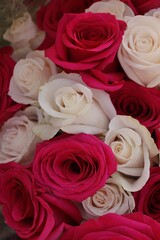 bouquet of red and white roses