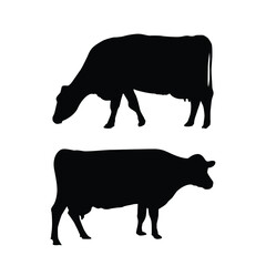 Farm animals cows isolated on white background vector image.