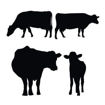 Farm animals cows isolated on white background vector image.