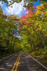 USA, Michigan. Fall colors on the road to Copper Harbor on the Keweenaw peninsula of Lake Superior.