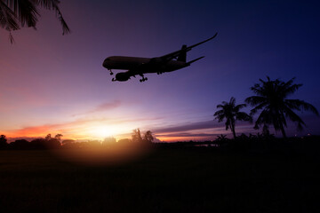 Fototapeta na wymiar Palm, Airplane - Air Vehicle, Cloudscape, Sky, Sunset - Dusk