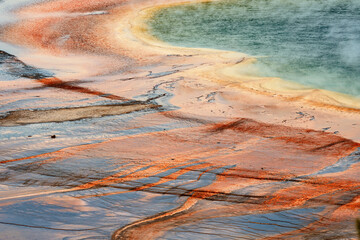 Bacterial mat pattern from elevated view, Grand Prismatic Spring, Yellowstone National Park, Montana, USA