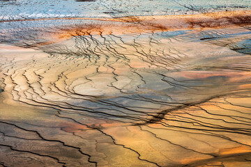 Graphic pattern in bacterial mat from elevated view, Grand Prismatic Spring, Yellowstone National Park, Montana, USA