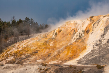 Travertine terraces of Canary Spring at sunrise, Canary Spring, Mammoth Hot Springs, Yellowstone National Park, Montana, USA