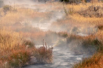 Small steaming hot spring running through meadow of golden autumn grasses, Canary Spring, Mammoth Hot Springs, Yellowstone National Park, Montana, USA