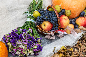 autumn composition fruit pumpkin flowers on the background of yellow leaves