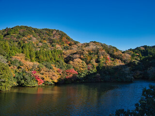 亀山湖の紅葉