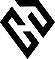 Fototapeta premium shaped logo concept in black 