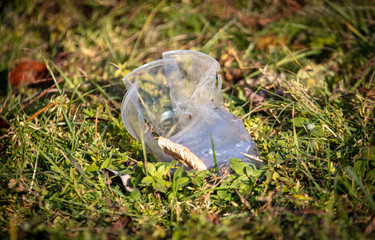 Plastic bottle in nature as trash.