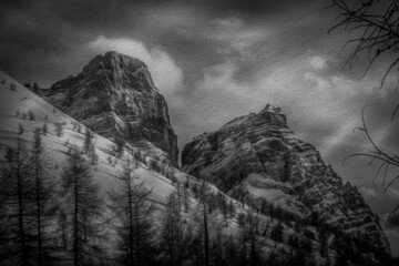 Black and white illustration with oil painting technique of Mount Pelmo north face and larch trees in winter conditions. Selva di Cadore, Dolomites, Italy