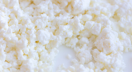 Fresh milk curd as background.