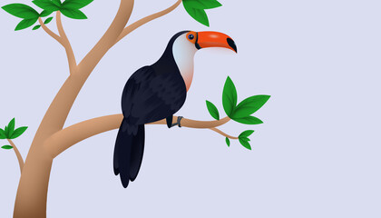 toucan in the tree illustration