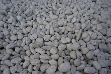 神社の玉砂利　白　丸い石