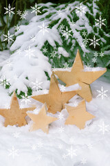 Weihnachtskarte mit Schnee, Sternen und Tannenzweigen, vertikal, copy space