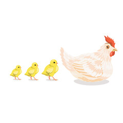 A white chicken and three yellow chickens .isolated on a white background.Vector illustration.