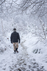 
man walking in snowy forest in Belgium