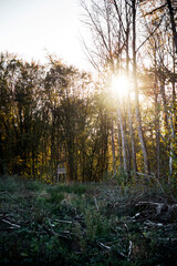 Hochsitz im Wald im Herbst
