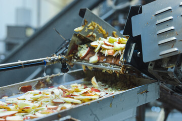 Sliced apples on a conveyor belt in food processing facility.