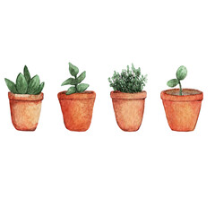 Watercolor hand painted house four green plants in clay pots. Set of floral elements isolated on white. Perfect for print, poster, card making and scrapbooking design