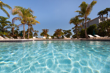 A Swimming Pool with Palm Trees View Relax No-one No Person in Image Take me to the Pool Blue Sun Sky 