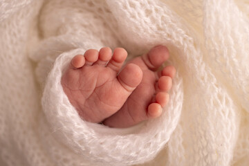 The tiny foot of a newborn. Soft feet of a newborn in a white woolen blanket. Close up of toes, heels and feet of a newborn baby. Studio Macro photography. Woman's happiness. Photography, concept.