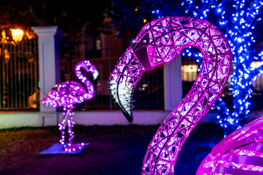 The Very beautiful Christmas lights in Gaeta, fairy tales of light 2019, Gaeta, Lazio, Italy. Representation of violet  flamingo