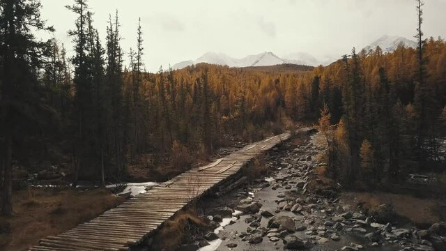 Altai Republic, Siberia, Russia. Aerial view of the autumn forest, a mountain Chuya River and Aktru, a wooden bridge, a road in the forest and mountains. Cold wild landscape: a winding river with