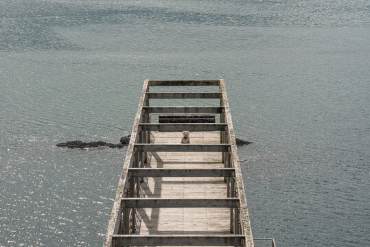 Woman sitting on pier against calm sea