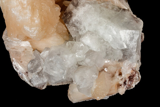 Macro stone albite mineral on white black close up