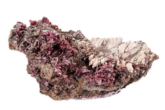 Macro stone Erythrite mineral on white background