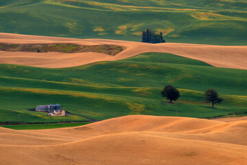 View of Steptoe Butte in the Palouse region, Washington state USA