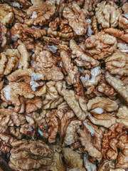 texture of a bark of a tree