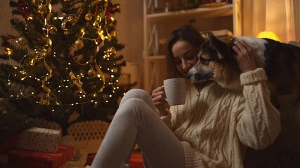 beautiful laughing woman sits on floor with mug of coffe close to funny Welsh Corgi dog sitts at couch in festive decorated house with Christmas tree. tender girl stroking and petting her dog