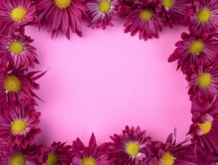 Purple flowers over pink background with copy space