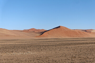 Fototapeta na wymiar Dünen im Namib Naukluft Nationalpark