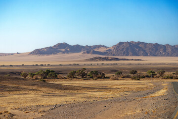 Namib Naukluft Nationalpark