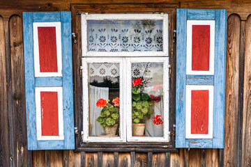 A window of an old wooden cottage, with blue and red shutters, white curtains and pelargonium flowers on the windowsill. 